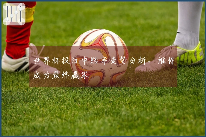 世界杯投注中赔率走势分析，谁将成为最终赢家