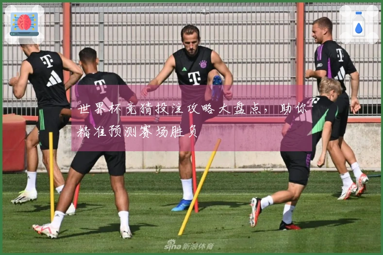 世界杯竞猜投注攻略大盘点，助你精准预测赛场胜负