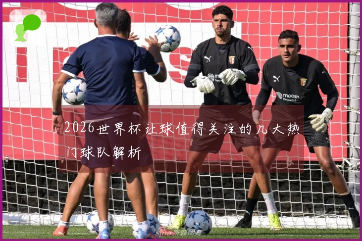 2026世界杯让球值得关注的几大热门球队解析