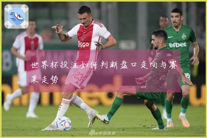 世界杯投注如何判断盘口走向与赛果走势