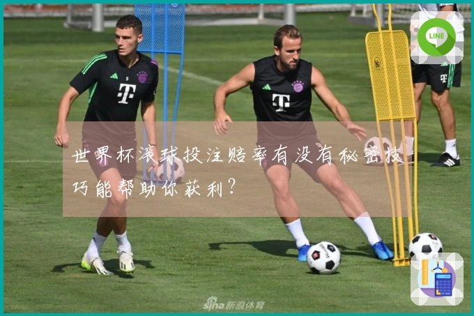 世界杯滚球投注赔率有没有秘密技巧能帮助你获利？