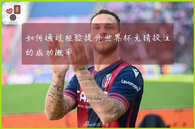 如何通过经验提升世界杯竞猜投注的成功概率