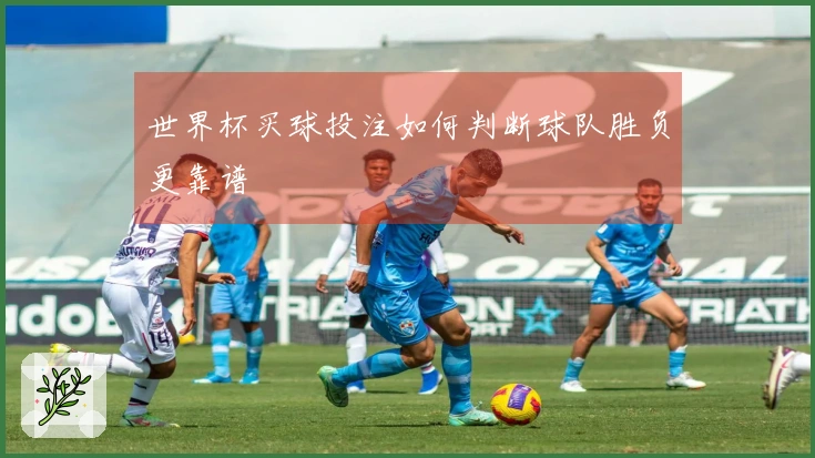 世界杯买球投注如何判断球队胜负更靠谱