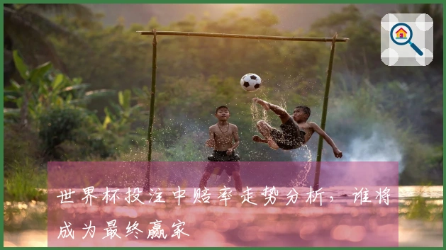 世界杯投注中赔率走势分析，谁将成为最终赢家