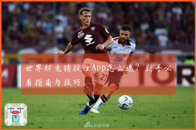 世界杯竞猜投注App怎么选？新手必看指南与技巧